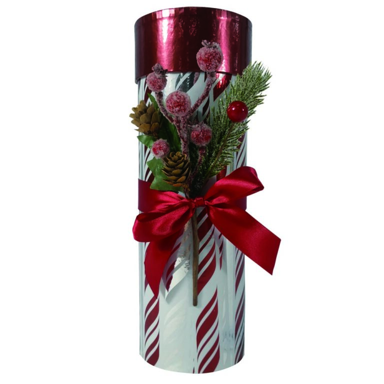 VANA Specialty Packaging Gallery - Rigid Presentation Boxes